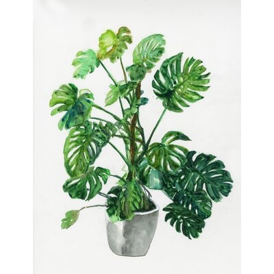 Monstera Plant - Wrapped Canvas Painting Print - Image 0
