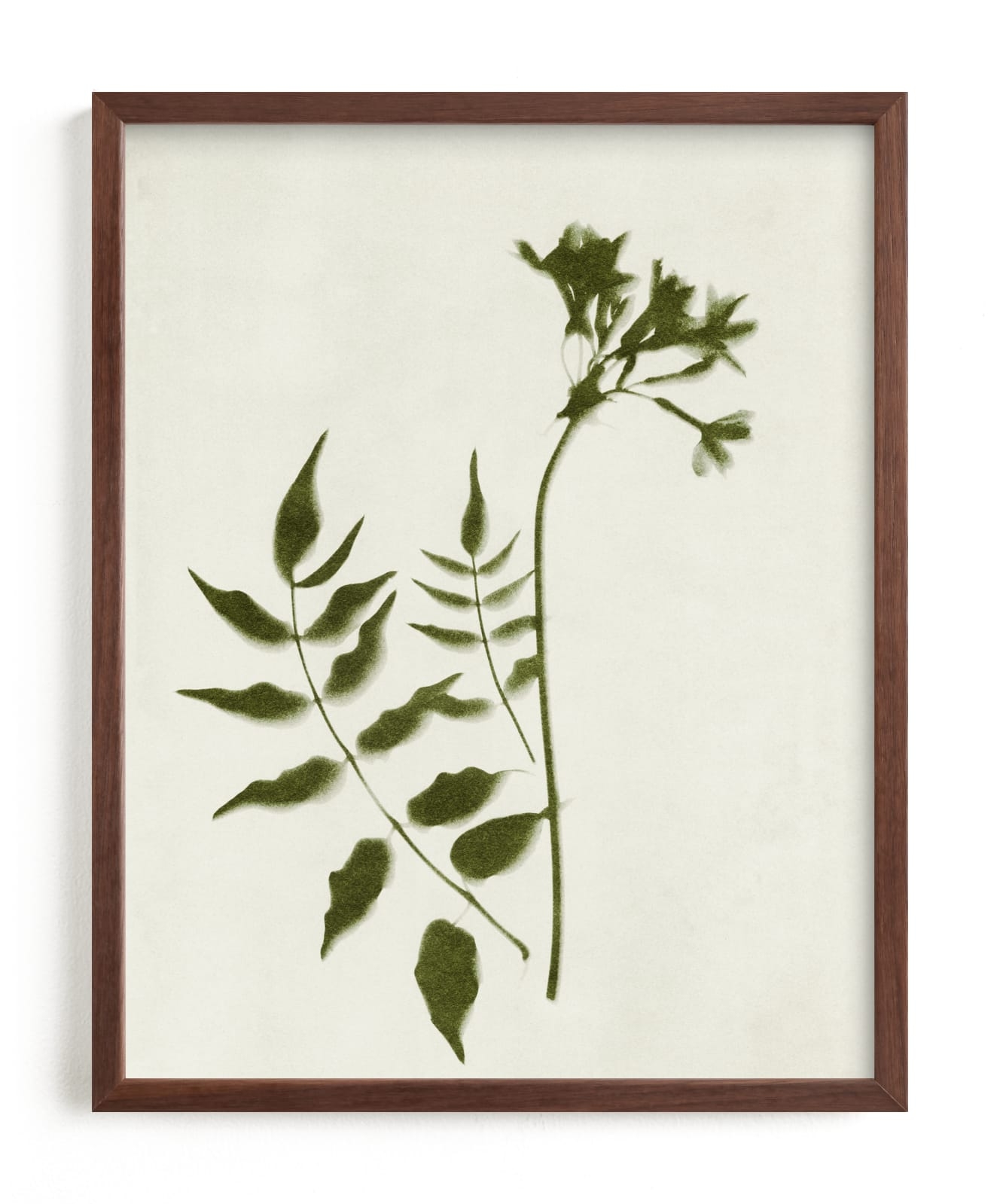 Foraged II Limited Edition Fine Art Print 2 - Image 0