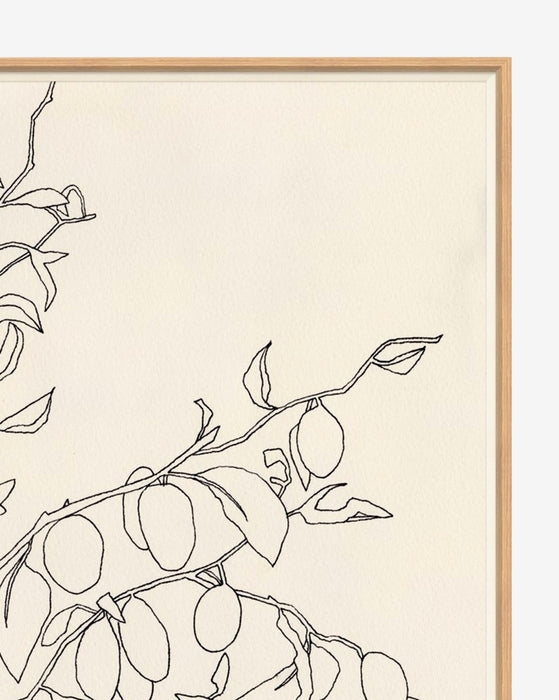 Sketched Olives, Framed, 42" x 38" - Image 1