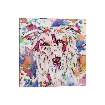 Border Collie II - Square by Eve Izzett - Gallery-Wrapped Canvas Giclée - Image 0