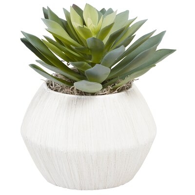 Foliage Plant in Decorative Vase - Image 0