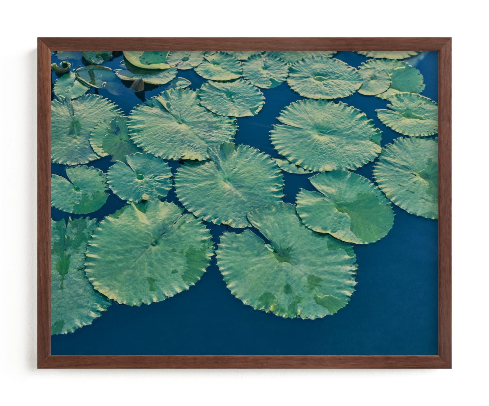 Painted Lily Pads Limited Edition Fine Art Print 2 - Image 0