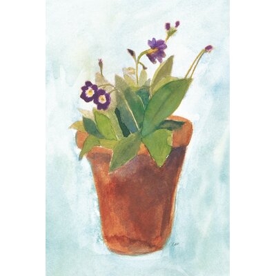 Primulas in Pots on Blue III by Michael Clark - Wrapped Canvas Painting Print - Image 0