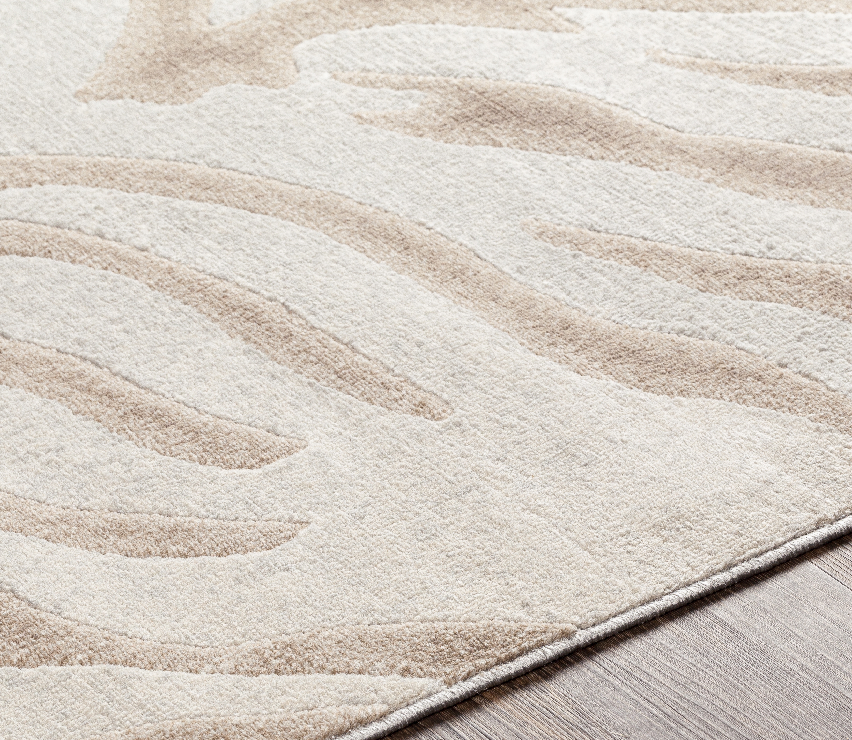 Remy Beige Indoor 7'10" x 10' Machine Woven Rug - Image 3