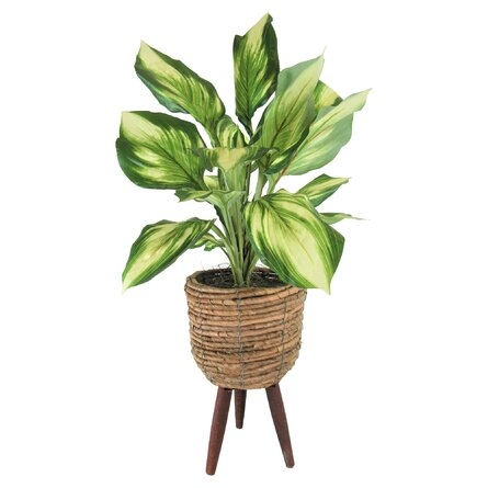 22" Artificial Foliage Plant In Basket - Image 0