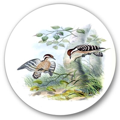 Vintage Birds In The Wild I - Traditional Metal Circle Wall Art - Image 0