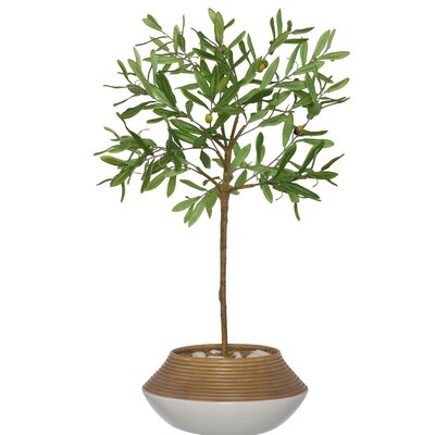 Artificial Olive Tree Tree in Planter - Image 0