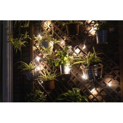 Vertical Garden With Fairy Lights - Image 0