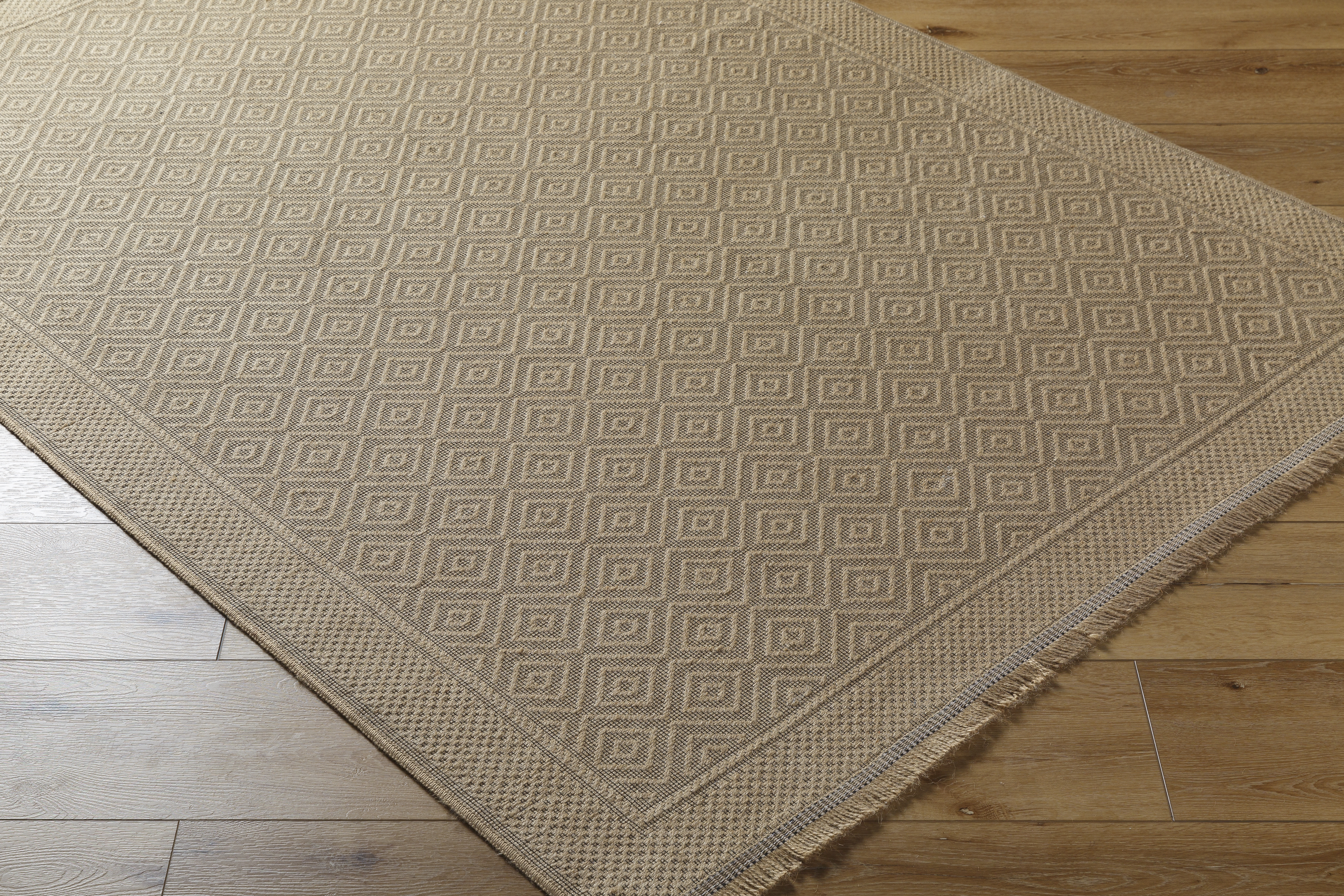 Mystery Beige Indoor 27" x 45" Machine Woven Rug - Image 4