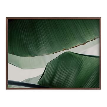 Leaf & Light 4, Full Bleed 40"x30", Walnut Wood Frame - Image 0