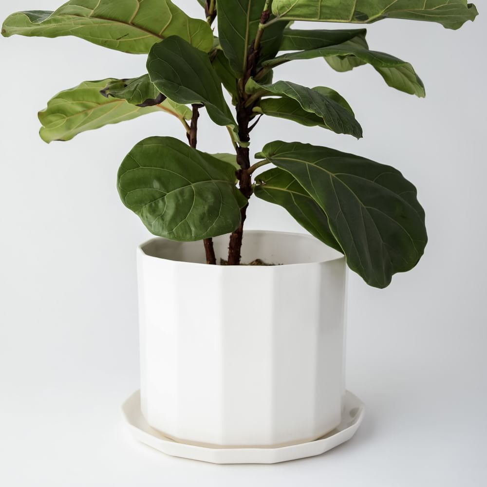10" Riveted Planter, Ivory - Image 0