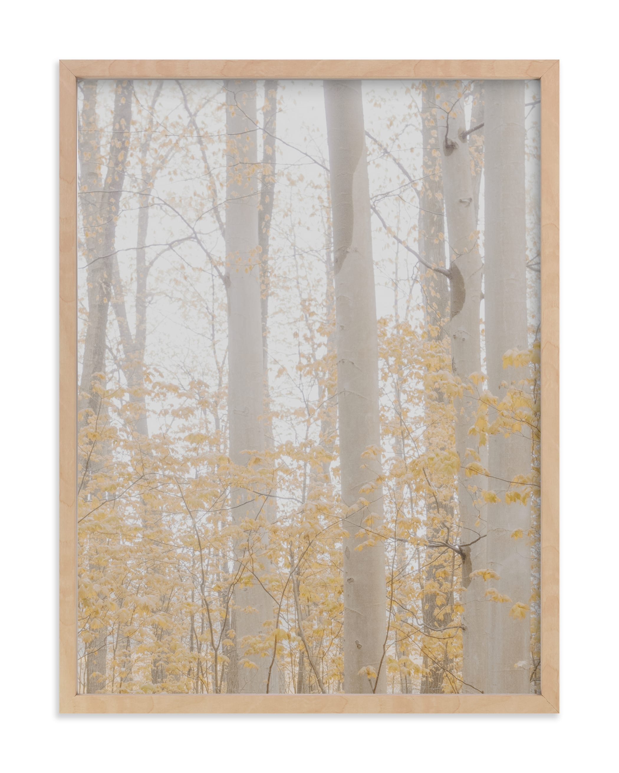 Be Still I Limited Edition Fine Art Print 2 - Image 0