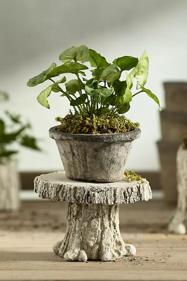 Faux Bois Stand - Image 0