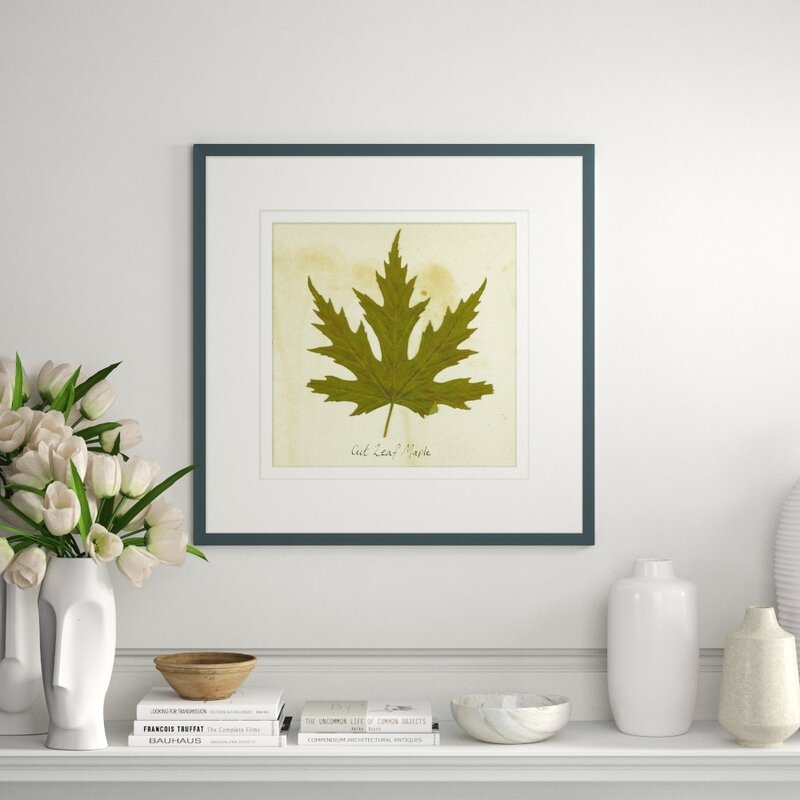 Wendover Art Group 'Cut Leaf Maple' Framed Graphic Art on Glass - Image 0