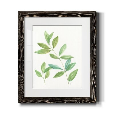 Spring Greens II-Premium Framed Print - Ready To Hang - Image 0