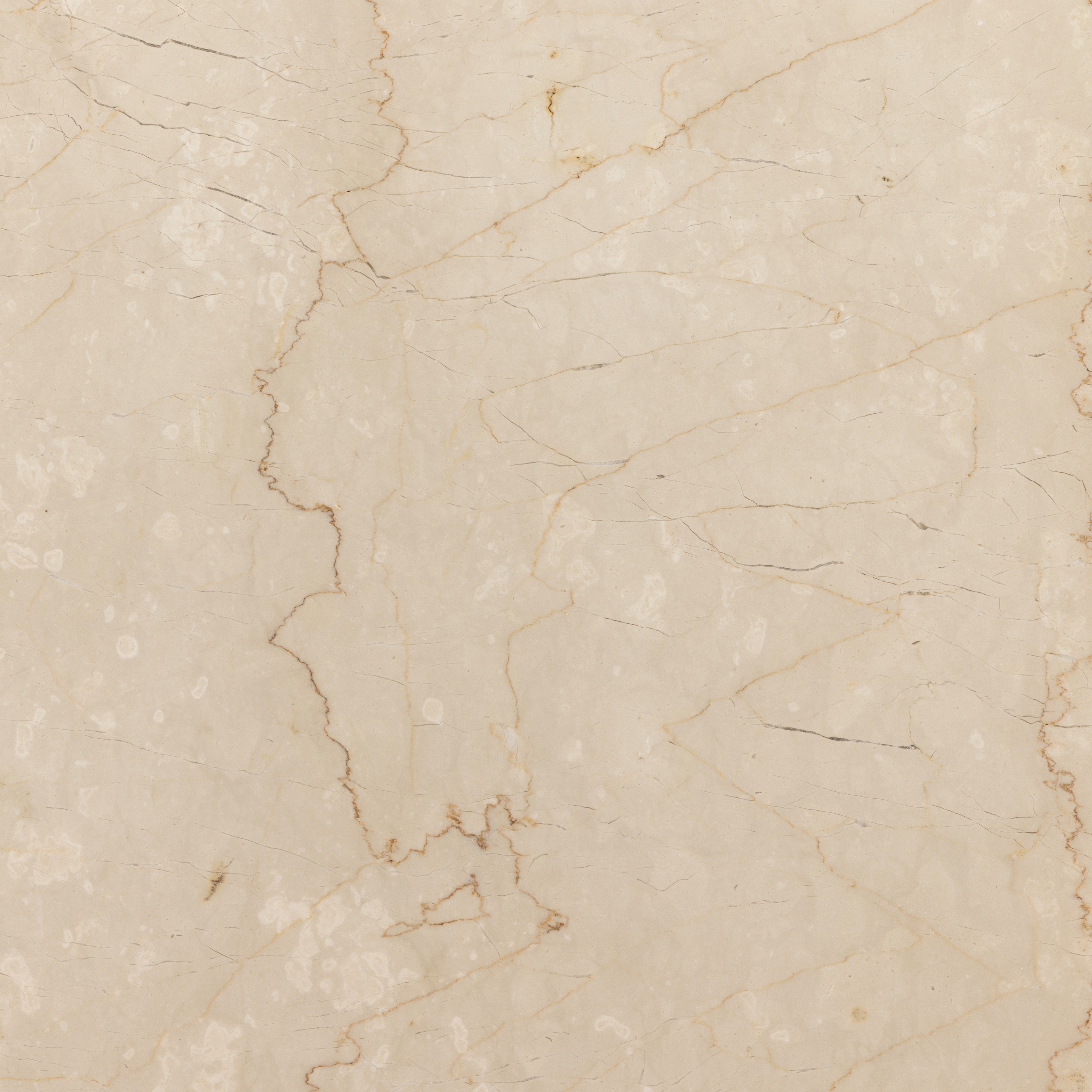 Arum End Table-Cream Marble - Image 5