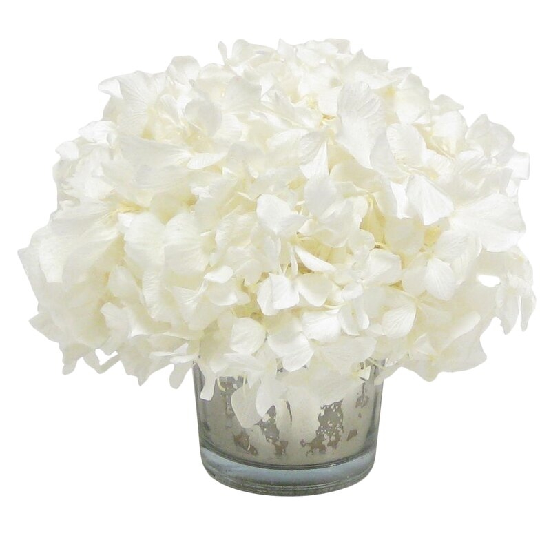 Mini Preserved Hydrangea Floral Arrangement in Vase Flower Color: White - Image 0