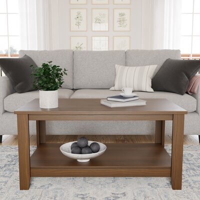 Ivyona Solid Coffee Table with Storage - Image 0