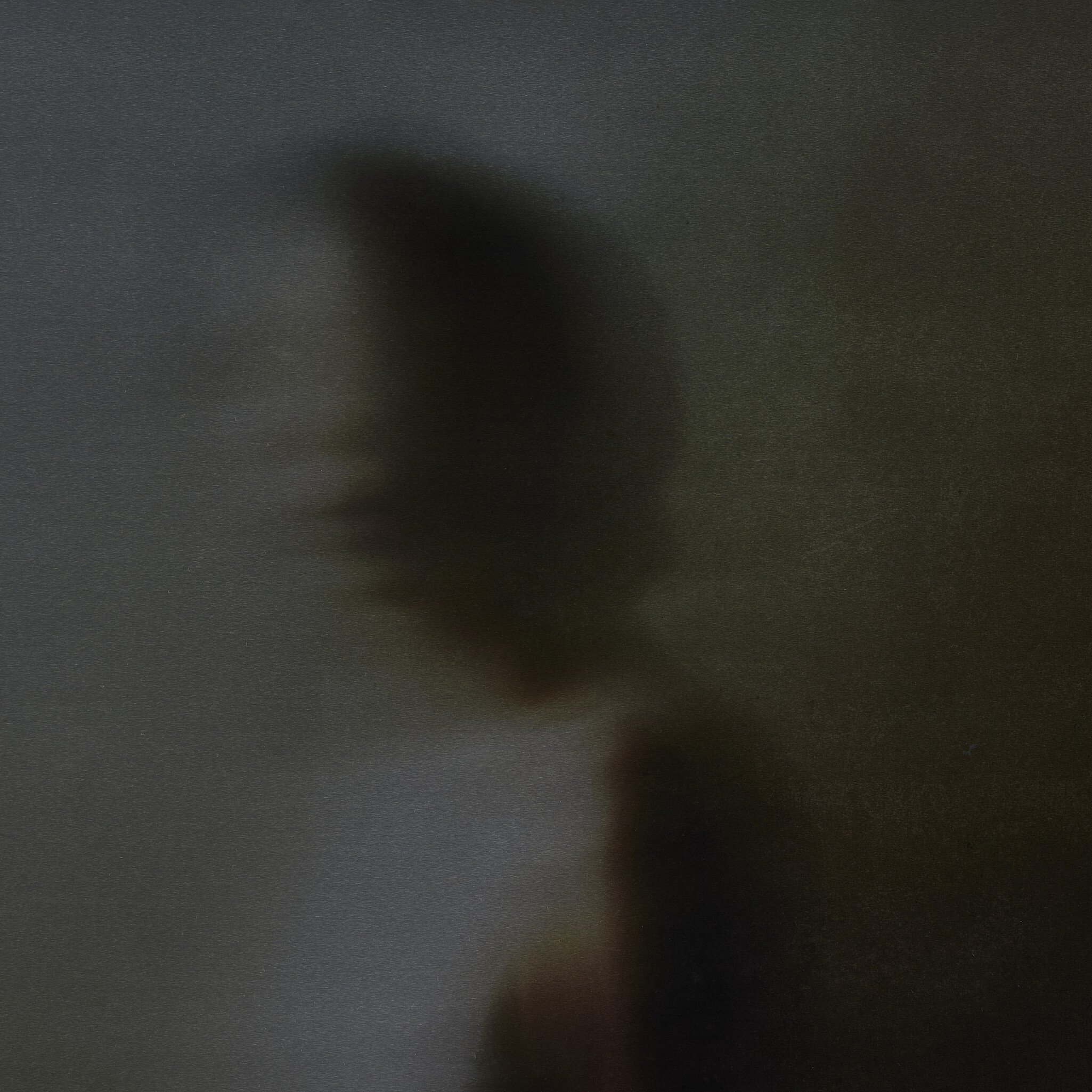 Foggy Dream II by Coup D'esprit - Rustic Walnut Floater - Image 3