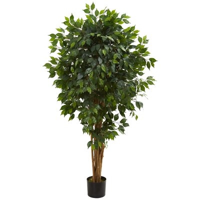 5.5' Ficus Artificial Tree - Image 0