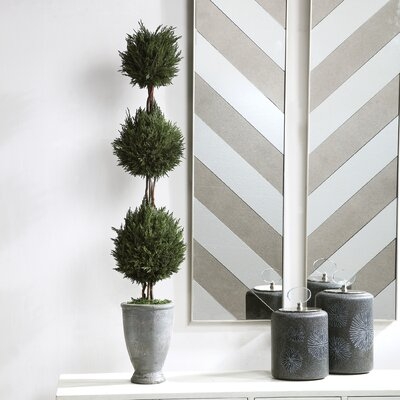 Cypress Topiary in Planter - Image 0