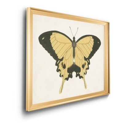 'Beautiful Butterfly I' - Picture Frame Graphic Art on Canvas - Image 0