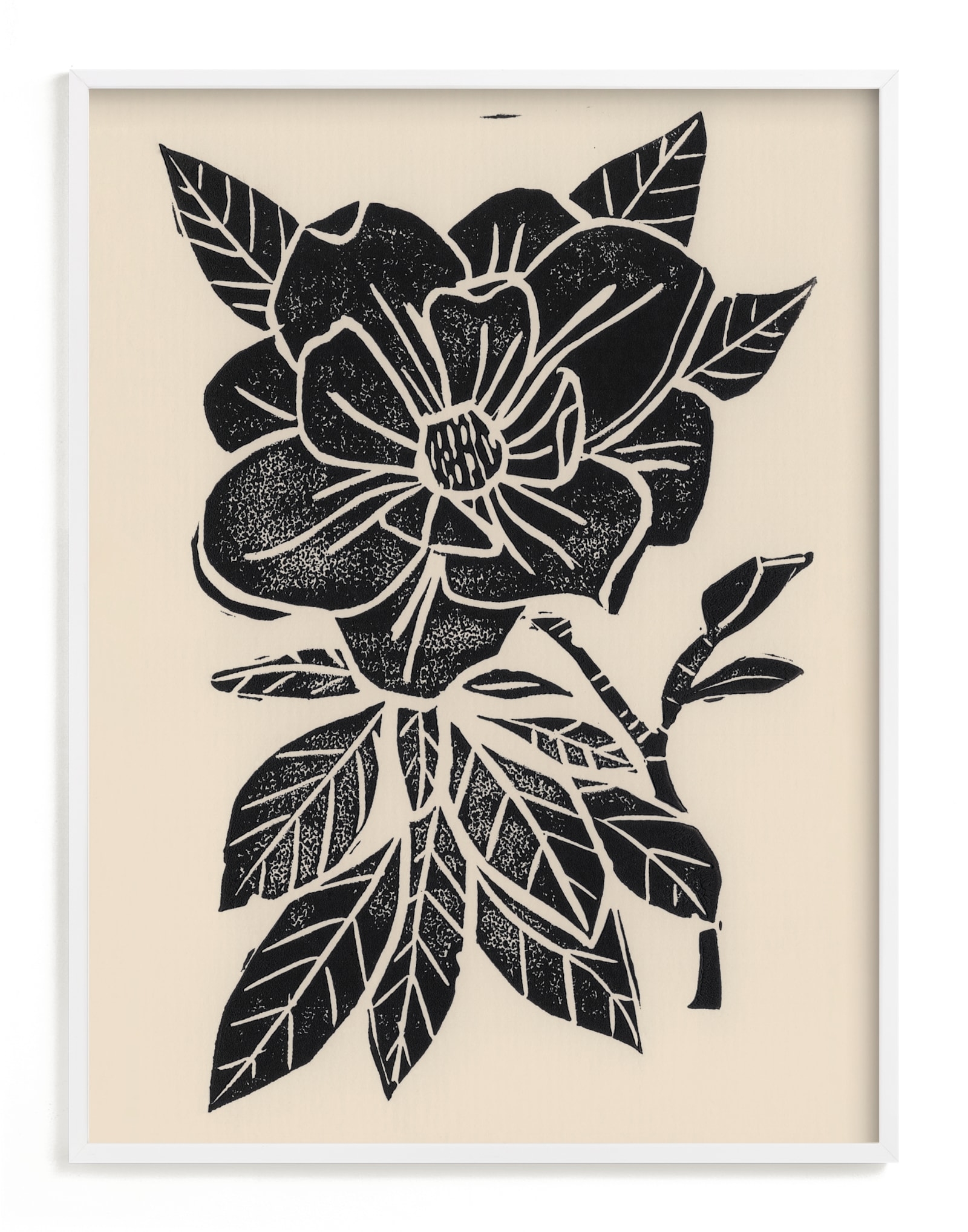 Magnolia Limited Edition Fine Art Print 2 - Image 0