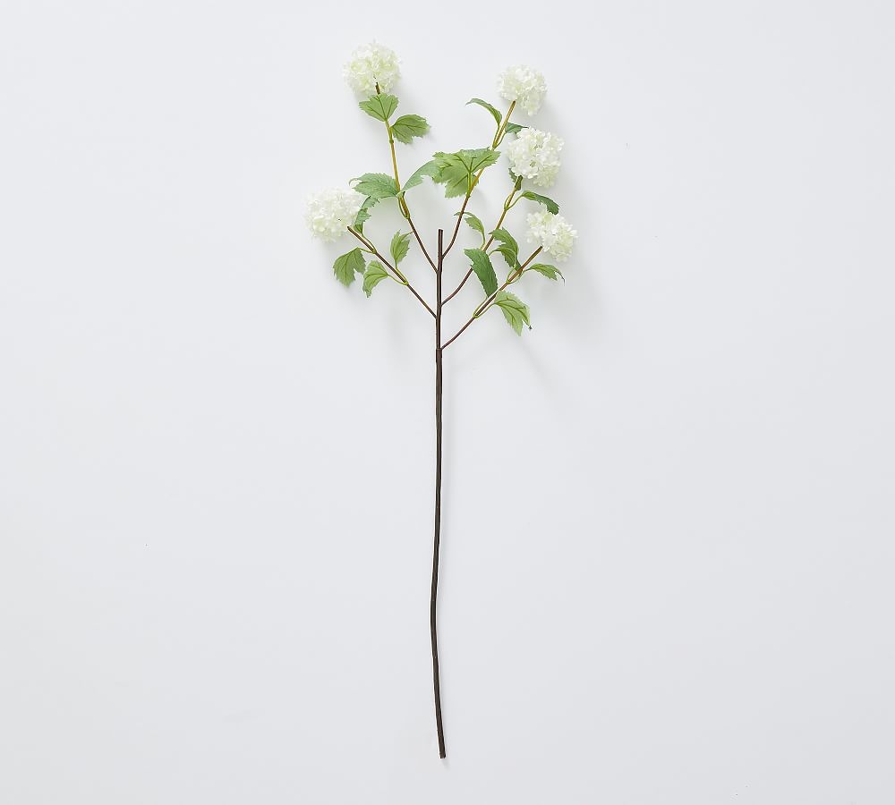 White Viburnum Branch, Branch, White - Image 0