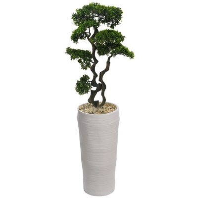 Bonsai Tree in Planter - Image 0
