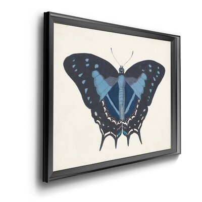 'Beautiful Butterfly III' - Picture Frame Graphic Art on Canvas - Image 0