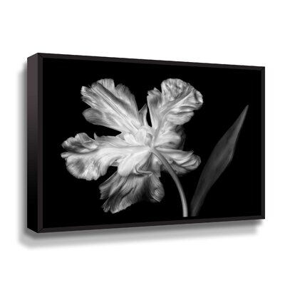 Black White Florals Gallery Wrapped - Image 0