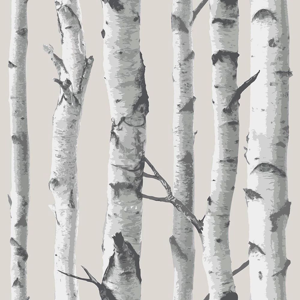 Birch Tree Peel & Stick Wallpaper - Image 0