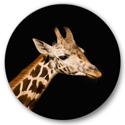 Close Up Portrait Of A Giraffe IV - Farmhouse Metal Circle Wall Art - Image 0