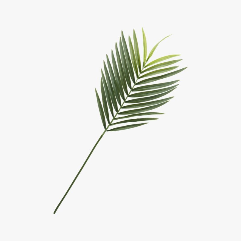 Faux Phoenix Palm Leaf 44" - Image 2