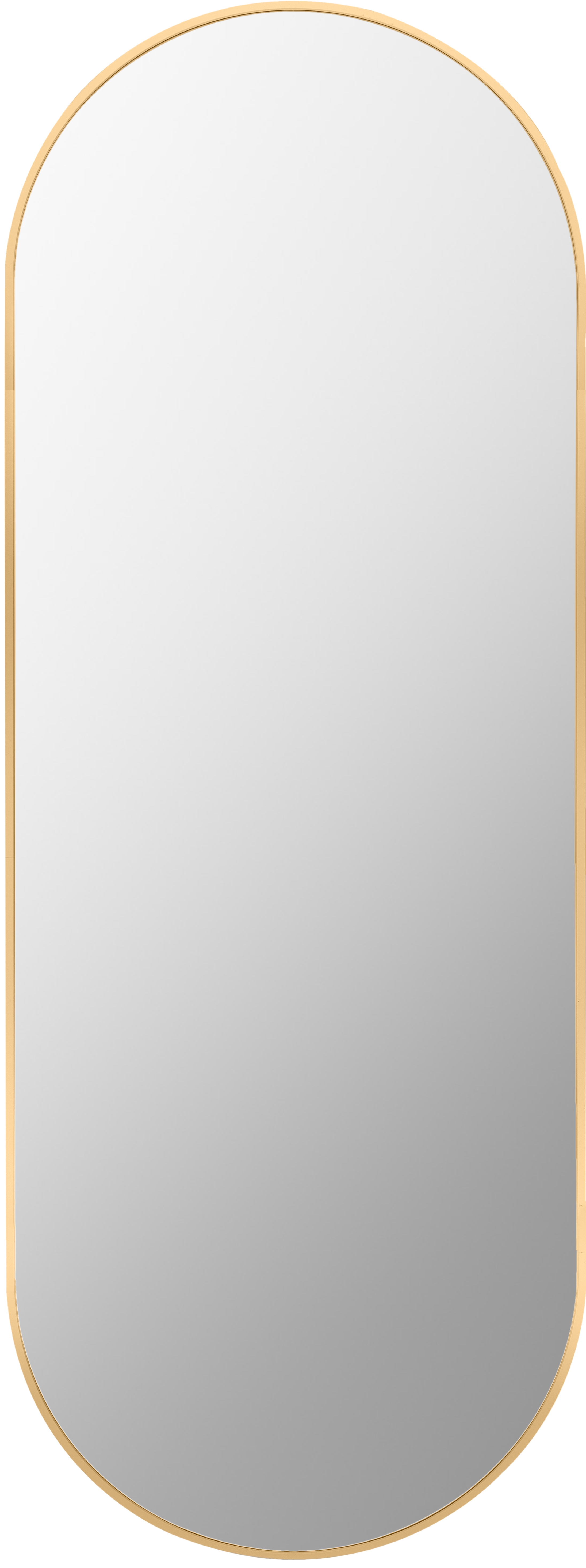 Aranya Gold 65"H x 22"W x 1"D Accent Mirror - Image 0