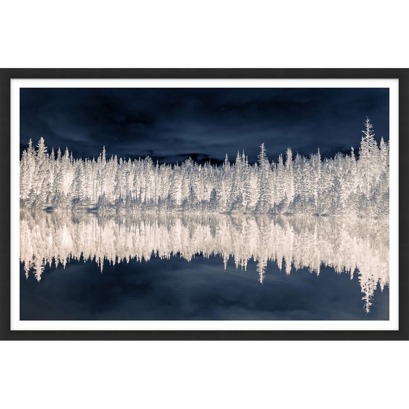 Tim Klein Photography 'Treescape and Reflection in Dark and Light' Framed Graphic Art Print Format: Black Framed - Image 0