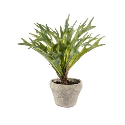 Artificial Staghorn Plant in Pot - Image 0