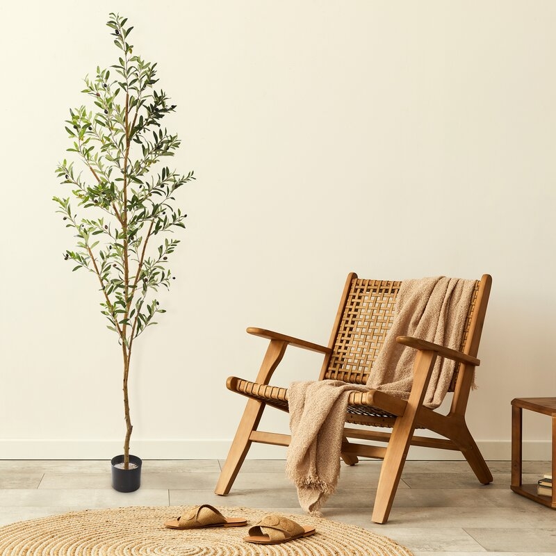 Faux Olive Tree in Planter, 82" - Image 4
