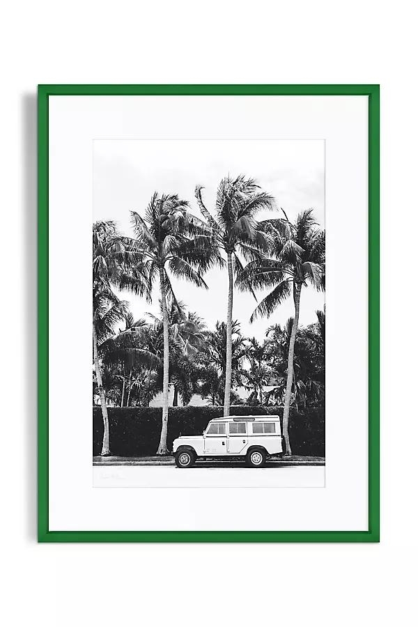 Palm Tree Nomad Wall Art - Image 0