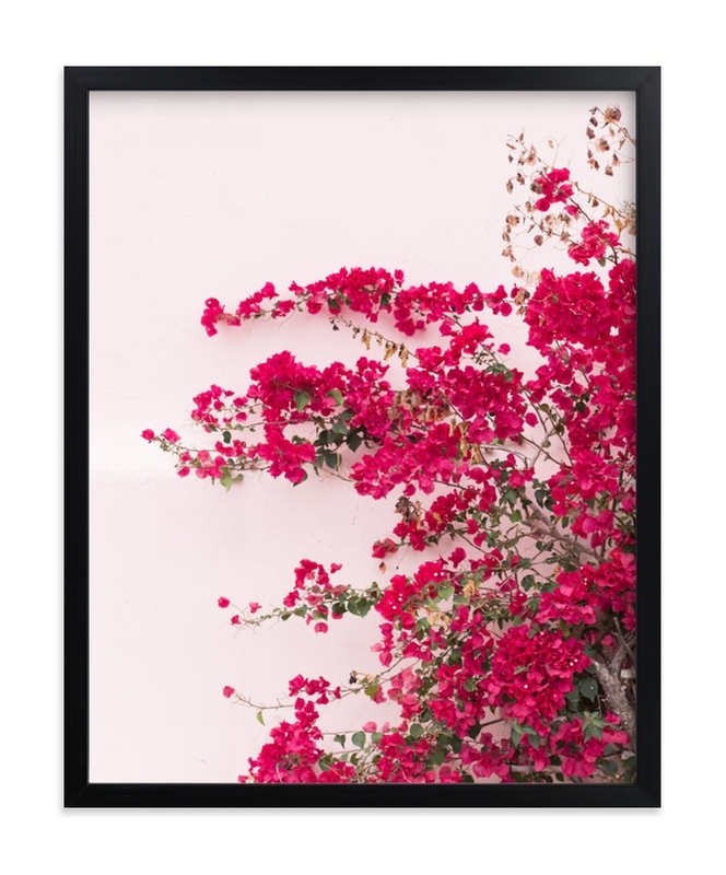 Bright Bougainvillea Limited Edition Fine Art Print 1 - Image 0