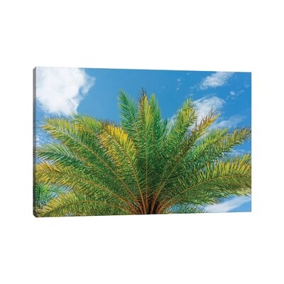 Florida Palm by Bethany Young - Gallery-Wrapped Canvas Giclée - Image 0