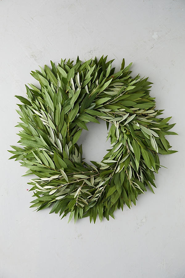 Fresh Ruscus + Olive Leaf Wreath - Image 0