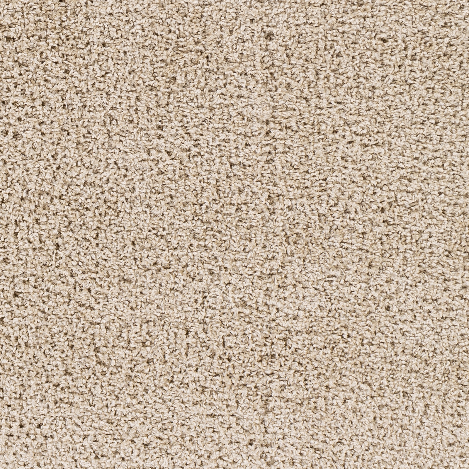 Bliss Shag Beige Indoor 2'7" x 8' Machine Woven Rug - Image 4