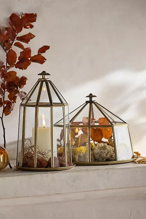 Domed Brass + Glass Cloche - Image 0