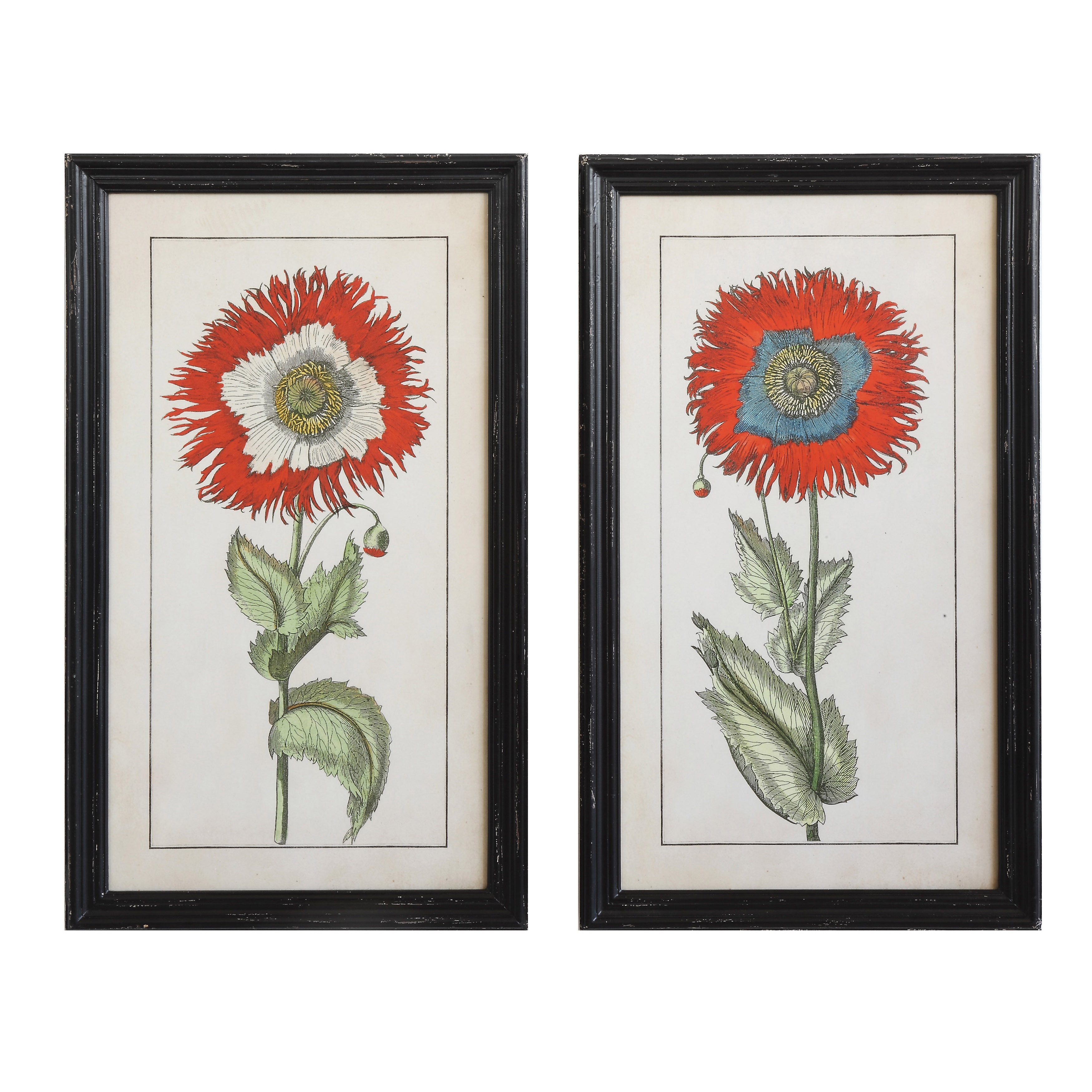 Black Rectangle Wood Framed Wall Art of Single Flowers (Set of 2 Designs) - Image 0