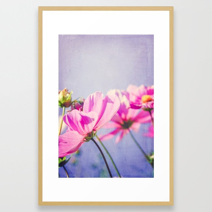 Pink Cosmos Flowers Framed Art Print by Olivia Joy St.claire - Cozy Home Decor, - Conservation Natural - LARGE (Gallery)-26x38 - Image 0