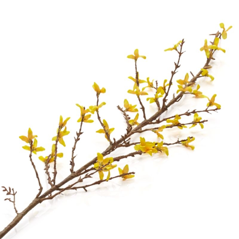 Faux Forsythia Flower Stem 50" - Image 3