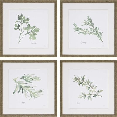 Herbs Framed On Paper 4 Pieces by Paschke Graphic Art - Image 0