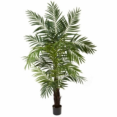 Areca Floor Palm Tree in Pot - Image 0