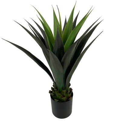 Artificial Succulent Plant in Pot - Image 0